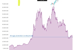 Giá tiền số Bitcoin bật tăng sau khi lao dốc xuống 20.000 USD
