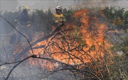 Tây Ban Nha đã kiểm soát được đám cháy rừng khiến hàng nghìn người phải sơ tán
