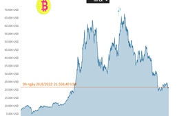 Vùng dậy bất thành, đồng tiền số Bitcoin chưa thể vượt qua mốc 22.000 USD