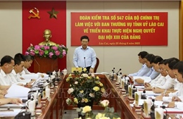 Kiểm tra việc triển khai thực hiện Nghị quyết Đại hội XIII của Đảng tại tỉnh Lào Cai