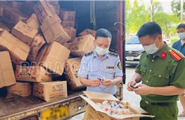 Lào Cai: Thu giữ hơn 1,3 tấn bánh dẻo không rõ nguồn gốc