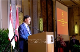 Việt Nam là đối tác quan trọng của Singapore trong ASEAN