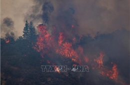Hàng nghìn người phải sơ tán do cháy rừng ở bang California