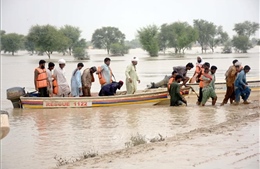 Số người thiệt mạng vì lũ lụt lịch sử tại Pakistan tăng lên 1.343 người