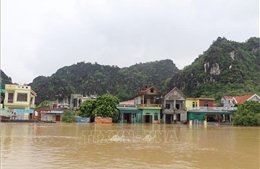Ninh Bình: Nhiều diện tích hoa màu, thủy sản bị ảnh hưởng do mưa lũ