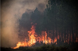 Pháp: Huy động 1.000 lính cứu hoả để dập đám cháy rừng ở vùng Tây Nam