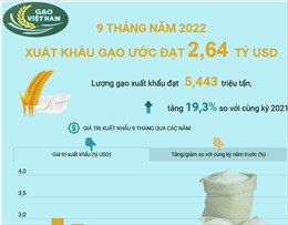 9 tháng năm 2022, xuất khẩu gạo ước đạt 2,64 tỷ USD
