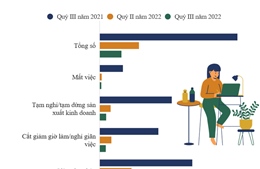 Quý III năm 2022: Số lao động bị ảnh hưởng bởi dịch COVID-19 giảm