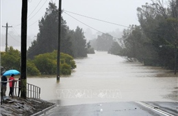Australia: Bang Victoria lại đối mặt nguy cơ lũ lụt do mưa lớn