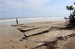Triều cường gây sạt lở nghiêm trọng bờ biển xã Bình Châu, Quảng Ngãi