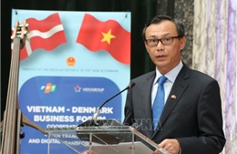 Các doanh nghiệp Đan Mạch kỳ vọng lớn vào cơ hội đầu tư tại Việt Nam