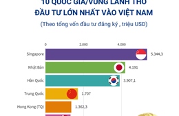 10 quốc gia/vùng lãnh thổ đầu tư lớn nhất vào Việt Nam