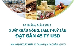 10 tháng năm 2022: Xuất khẩu nông, lâm, thủy sản đạt gần 45 tỷ USD