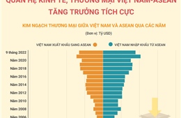 Quan hệ kinh tế, thương mại Việt Nam - ASEAN tăng trưởng tích cực