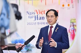 Bộ trưởng Bùi Thanh Sơn: Quan hệ Việt Nam – Hàn Quốc đã có những tiến triển vượt bậc