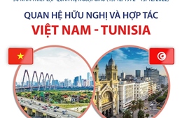 Quan hệ hữu nghị và hợp tác Việt Nam - Tunisia