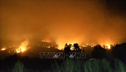 Thủ đô của Chile ban bố tình trạng khẩn cấp do cháy rừng