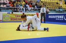 Đoàn thể thao Nam Định gây ấn tượng ở môn Jujitsu