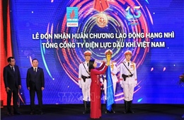 Lễ kỷ niệm 15 năm Ngày thành lập Tổng Công ty Điện lực Dầu khí Việt Nam