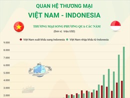 Quan hệ thương mại Việt Nam - Indonesia