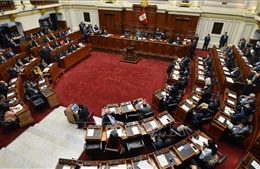 Quốc hội Peru thông qua dự luật đẩy sớm kế hoạch tổ chức bầu cử