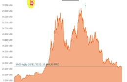 Giá Bitcoin giảm nhẹ, giao dịch quanh mức 16.700 USD