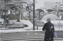 Tuyết rơi dày tại Nhật Bản đã khiến 17 người tử vong