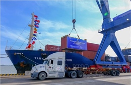 Tái khởi động tàu container vào cụm cảng Cần Thơ