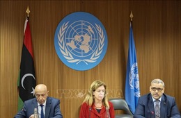 Ai Cập đánh giá cao kết quả đàm phán giữa các phe phái đối địch ở Libya