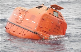 Cứu được 13 thủy thủ trong vụ lật tàu chở hàng ở Nhật Bản 