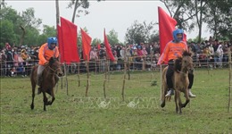 Sôi nổi Hội đua ngựa truyền thống Gò Thì Thùng