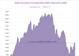 Phiên 31/1/2023: VN-Index đảo chiều tăng gần 9 điểm