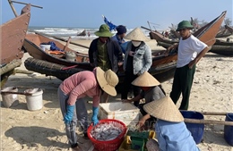 Ngư dân vùng bãi ngang Quảng Trị  đón &#39;lộc biển&#39; đầu năm
