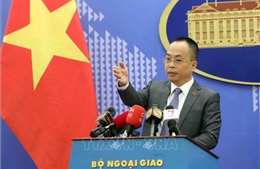 Sẵn sàng triển khai các biện pháp bảo hộ công dân Việt Nam