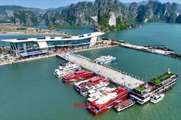 Quảng Ninh: Đưa vào sử dụng cảng tàu du lịch cao cấp Ao Tiên khi đi các xã đảo