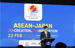 ASEAN - Nhật Bản hướng tới tầm nhìn vì một xã hội an toàn, thịnh vượng