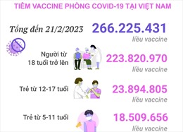 Tình hình tiêm vaccine phòng COVID-19 tại Việt Nam (tính đến hết ngày 22/2/2023)