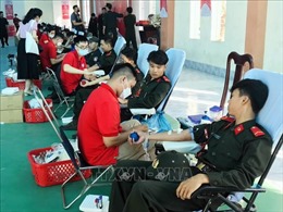 Cần Thơ: Hàng trăm chiến sĩ, đoàn viên hiến máu tình nguyện tại Ngày Chủ nhật đỏ
