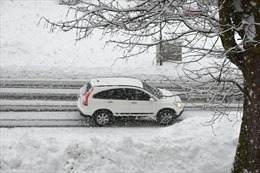 Bão tuyết gây hỗn loạn tại Croatia 
