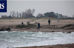 Phát hiện khoảng 2,3 tấn cocaine dạt vào bờ biển Normandy của Pháp