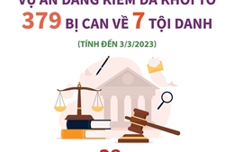 Vụ án đăng kiểm đã khởi tố 379 bị can về 7 tội danh