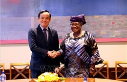 Phó Thủ tướng Trần Lưu Quang gặp lãnh đạo các nước và các tổ chức quốc tế