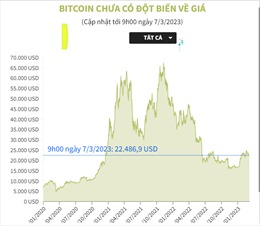Bitcoin chưa có đột biến về giá