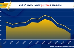 Chỉ số hàng hoá MXV- Index xuống mức thấp nhất hơn 1 năm