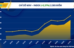 Chỉ số hàng hoá MXV- Index lên mức cao nhất gần 1 tháng