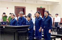Tuyên án phúc thẩm Vụ án tại Công ty Xây dựng Tân Thuận