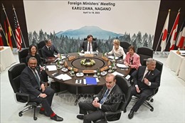 G7 và nỗ lực khẳng định vai trò đầu tàu