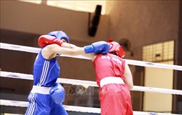 Boxing - hy vọng &#39;Vàng&#39; của Thể thao Việt Nam tại ASIAD 19