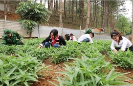 &#39;Vườn rau sạch cho bé&#39; giúp cải thiện bữa ăn cho học sinh ở Huổi Luông