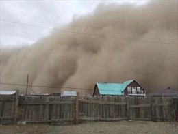 Bão cát và bão tuyết gây thiệt hại nặng nề tại Mông Cổ